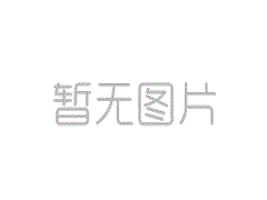国家电投集团宁夏能源铝业将着力恢复铝深加工